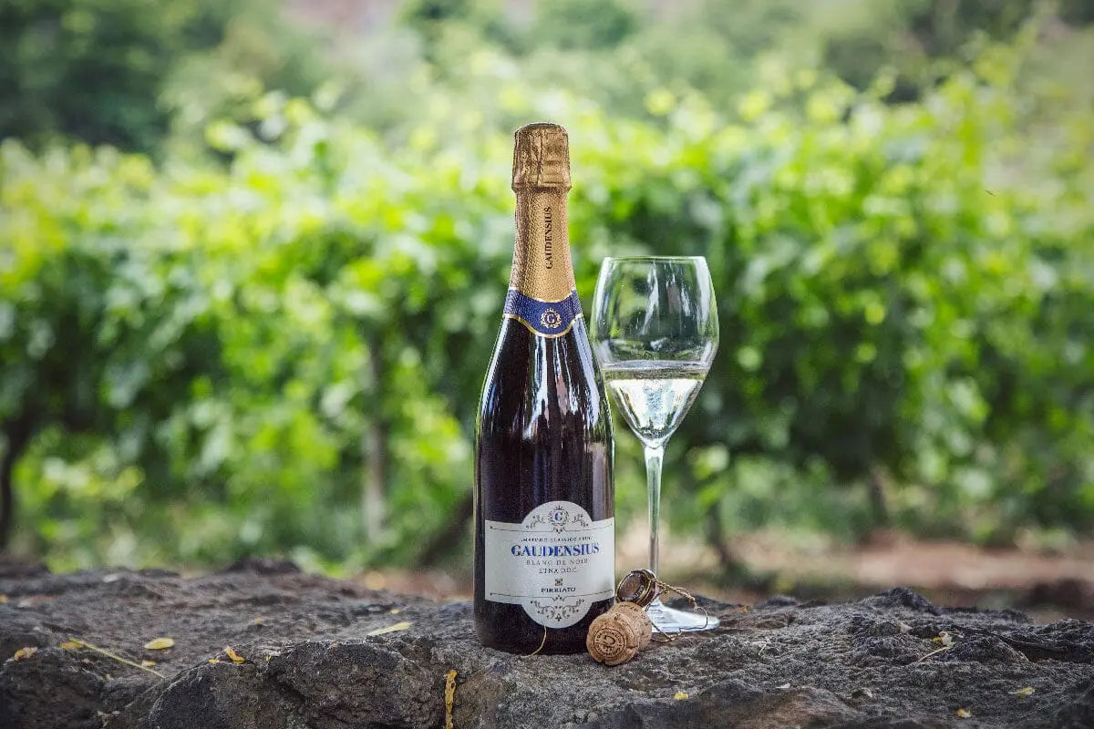 GAUDENSIUS BLANC DE NOIR Etna D.O.C. Metodo Classico Brut Nerello Mascalese, Cantina Firriato Vini e liquori Firriato