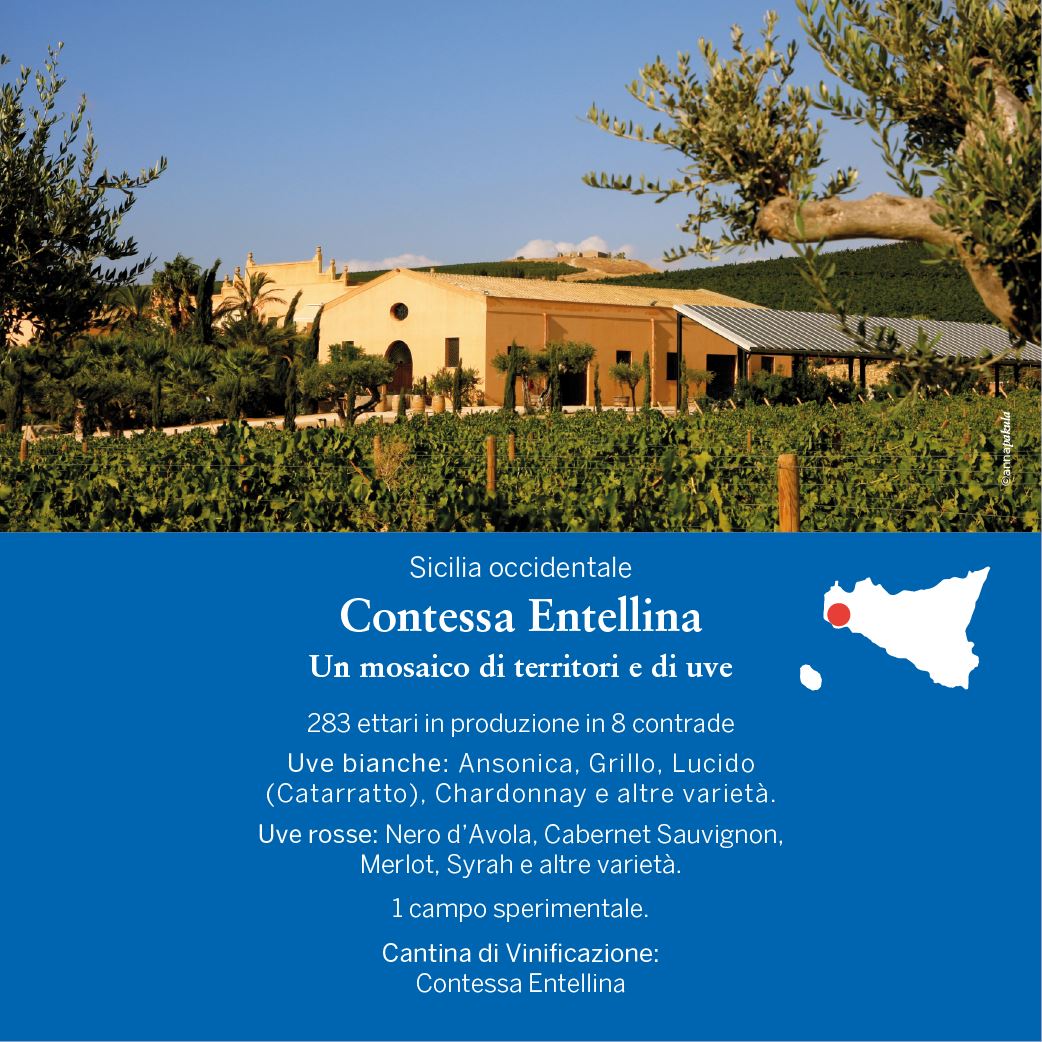 Donnafugata Brut Rosé 2017 Sicilia Doc Metodo Classico - In Astuccio, 0,75L Vini e liquori Donnafugata 